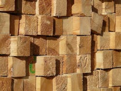 66fb1bd0f503ddf97276620c Wood 66fb1bd0f503ddf97276620c Wood