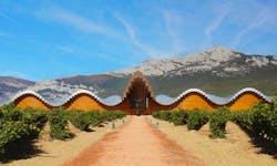 Ysios winery by architect Santiago Calatrava. Photo: Elena de las Heras / Alamy/Alamy Ysios winery by architect Santiago Calatrava. Photo: Elena de las Heras / Alamy/Alamy