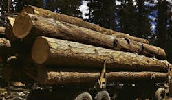 66fb1bda816f261d04c3aa77 Lumber 66fb1bda816f261d04c3aa77 Lumber