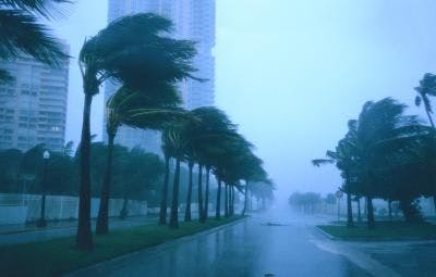 66fb1be446a0235a3313d409 Storm