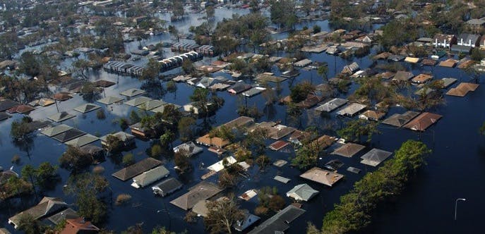 66fb1c036913969cc74ba972 Fema 0