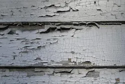 66fb1c0b2ac3a5da8e19972c Lead 66fb1c0b2ac3a5da8e19972c Lead