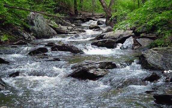 66fb1c0ef503dd8f9f7662c7 River1