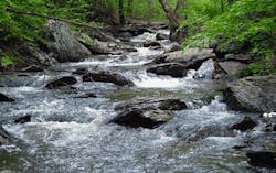 66fb1c0ef503dd8f9f7662c7 River1 66fb1c0ef503dd8f9f7662c7 River1