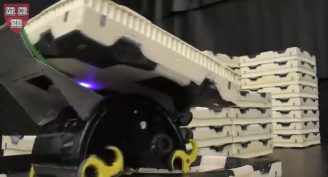 66fb1c185230184462076a66 Termiterobot