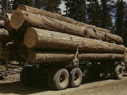 Photo: Wikimedia Commons Photo: Wikimedia Commons