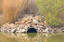 Image: EPA Image: EPA