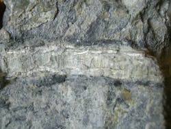 Photo: Chmee2 via Wikimedia Commons Photo: Chmee2 via Wikimedia Commons