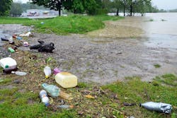 Photo: Marckos via Wikimedia Commons Photo: Marckos via Wikimedia Commons