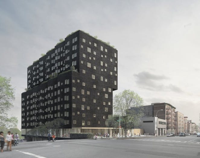 66fb1e2f69139672cf4baa52 Sugarhill 0