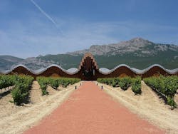 The Ysios winery, also designed by Calatrava, also has had design flaws that resulted in litigation. Photo credit: Roberto Lumbr The Ysios winery, also designed by Calatrava, also has had design flaws that resulted in litigation. Photo credit: Roberto Lumbr
