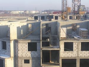 66fb1e4d1bbf3c36f85433e7 Photo20credit20freeimages