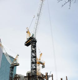 Photo: Samuel Boisvert via Wikimedia Commons Photo: Samuel Boisvert via Wikimedia Commons