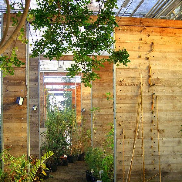 66fb1e6636955526c74220a9 Geoffroymagnan