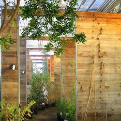 66fb1e6636955526c74220a9 Geoffroymagnan 66fb1e6636955526c74220a9 Geoffroymagnan