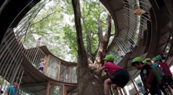 66fb1e79816f269c4ac3ac9d Fuji2 66fb1e79816f269c4ac3ac9d Fuji2