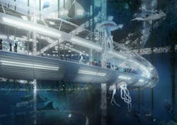 Under the sea: Manmade island functions as artificial reef Under the sea: Manmade island functions as artificial reef