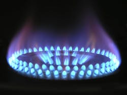 Minimal growth in domestic energy consumption projects over the next 25 years Minimal growth in domestic energy consumption projects over the next 25 years