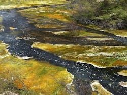 U.S. House scuttles EPA plan to expand definition of waters in Clean Water Act U.S. House scuttles EPA plan to expand definition of waters in Clean Water Act