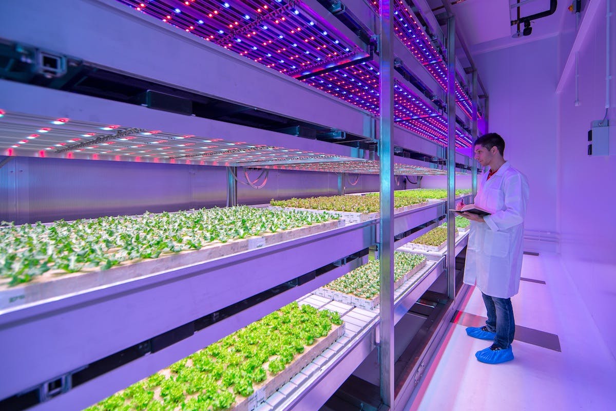 Philips sheds new light on growing fresh food indoors
