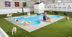 Gensler designs JFK airport terminal for animals Gensler designs JFK airport terminal for animals