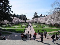 Skanska and University of Washington offer new BIM program Skanska and University of Washington offer new BIM program