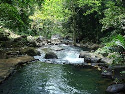 66fb1ef95230187d47076cbb 1280pxsmall Streams 66fb1ef95230187d47076cbb 1280pxsmall Streams