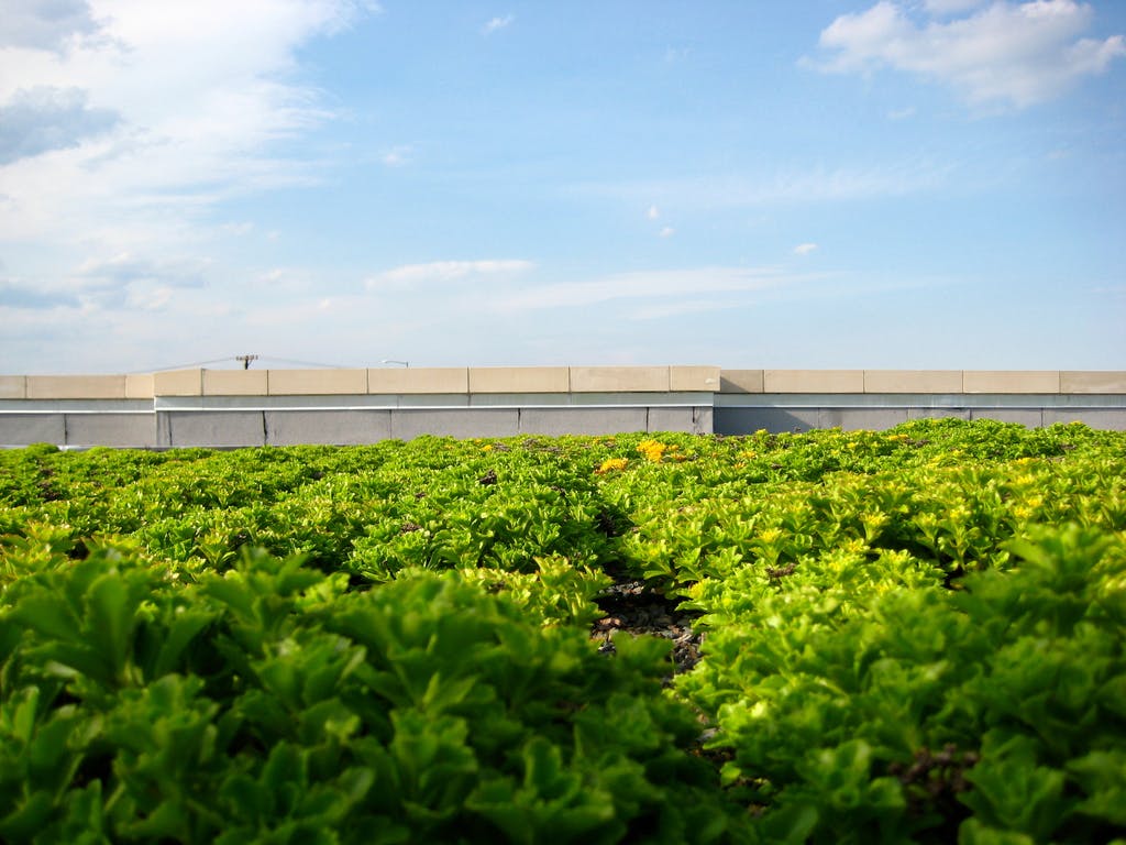 66fb1efd6913966a724babfd 3535032696 423223539c B