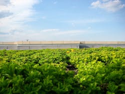 66fb1efd6913966a724babfd 3535032696 423223539c B 66fb1efd6913966a724babfd 3535032696 423223539c B