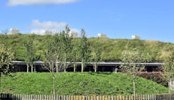 ILFI launches Biophilic Design Initiative ILFI launches Biophilic Design Initiative