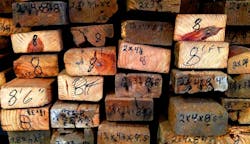 New LEED Pilot ACP designed to help eliminate irresponsibly sourced materials New LEED Pilot ACP designed to help eliminate irresponsibly sourced materials