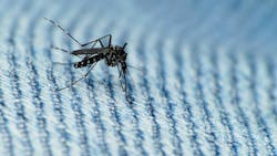 OSHA issues advisory to protect workers from Zika virus OSHA issues advisory to protect workers from Zika virus