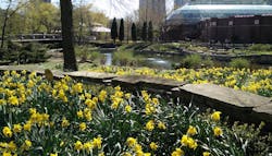 AIA and HOK partner to advance Design and Health Research Consortium AIA and HOK partner to advance Design and Health Research Consortium