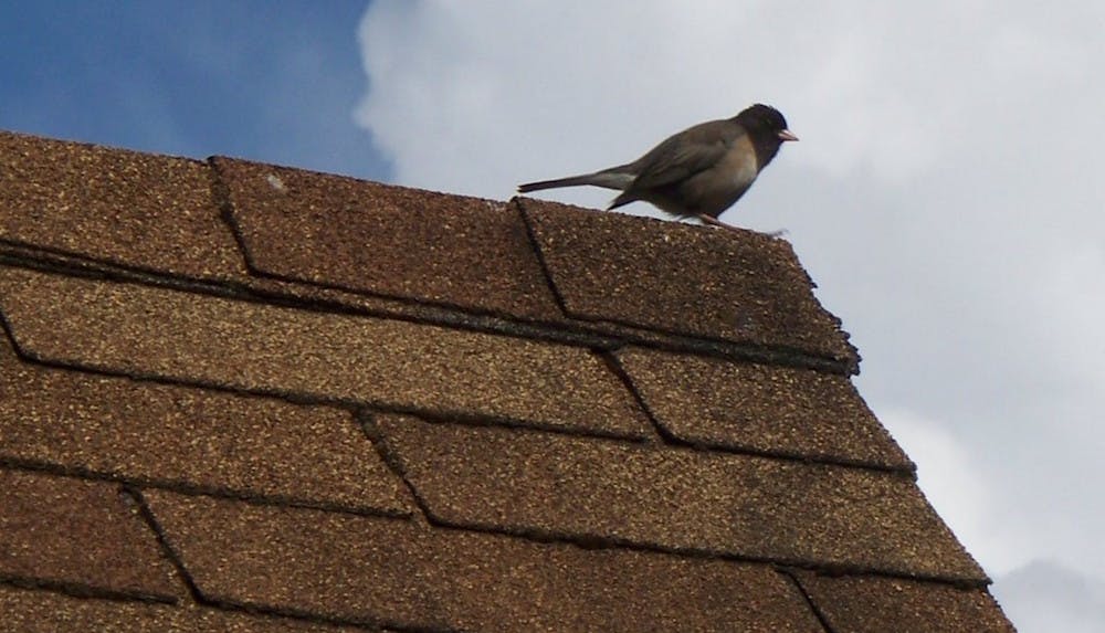 Asphalt roofing group publishes updated shingle installation guide