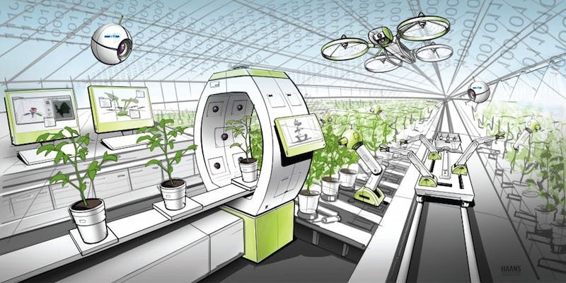 66fb1f713695550bf742231b Artistrenderingarisbrandingforwbaa Compressed