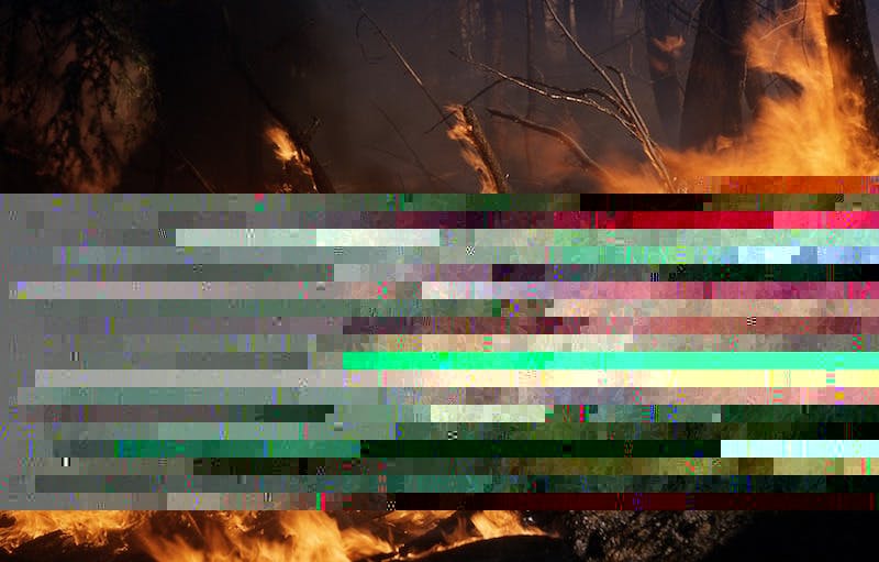 66fb1f78783cc9b343d80df7 Wildfire