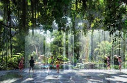 66fb1f78f503dd94e676668a Rainforest203 66fb1f78f503dd94e676668a Rainforest203