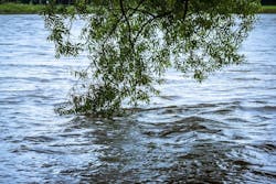 66fb1f963695559139422374 Flood 3 66fb1f963695559139422374 Flood 3