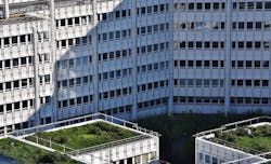 66fb1f9b1a3f59286bd50bba Green 5 66fb1f9b1a3f59286bd50bba Green 5