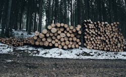 66fb1fa11bbf3c467c5436fc Lumber 0 66fb1fa11bbf3c467c5436fc Lumber 0