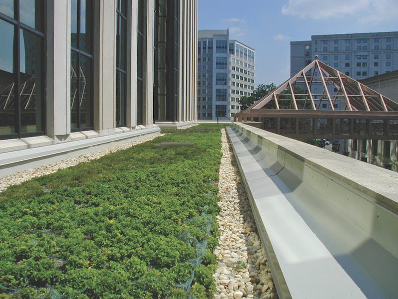 66fb1fb869139642f74bad95 Green1