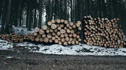 Wood