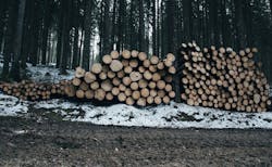 66fb1fd946a023e7e213d91c Wood 5 66fb1fd946a023e7e213d91c Wood 5