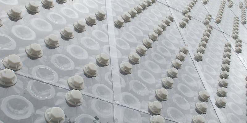 66fb1fdd1bbf3c428c543790 Polli