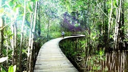 66fb1fdf369555cb8942240e 04 Alai Mexico Mangrove C2a9grossmax 66fb1fdf369555cb8942240e 04 Alai Mexico Mangrove C2a9grossmax