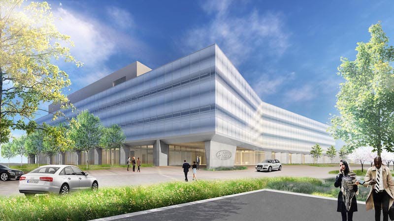 66fb1ff4f503dda78a7667cd V120w20pfizer20logo