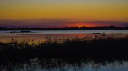 Wetland