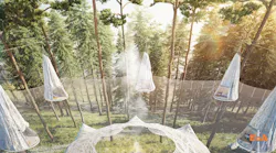Till Tree Top Location