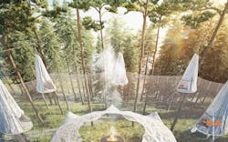 66fb20161bbf3c3c4e54380e Till20tree20top20location20 66fb20161bbf3c3c4e54380e Till20tree20top20location20