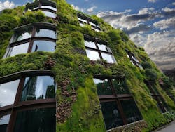 66fb201e46a02320a513d9c8 Vegetalwall 66fb201e46a02320a513d9c8 Vegetalwall